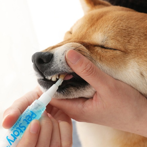 Kit de limpieza de dientes para mascotas, cepillo de dientes de belleza para perros, gatos, sarro, piedra Dental, pluma de limpieza ► Foto 1/6