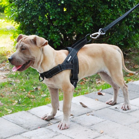 Arnés ajustable para perros medianos y grandes, chaleco reflectante de entrenamiento para caminar, sin tirones, para mascotas ► Foto 1/6