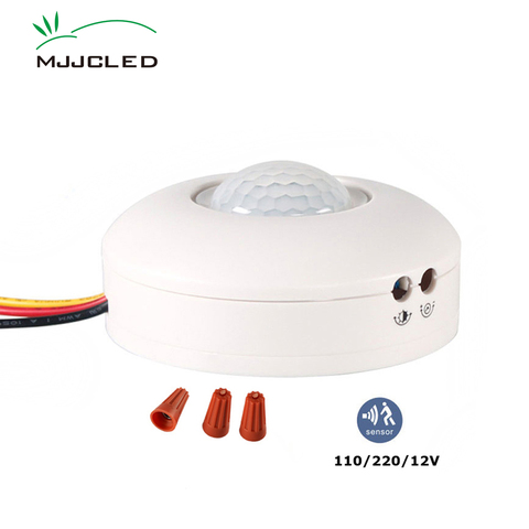 220 V luz del Sensor de movimiento 12 V PIR Sensor 110 V luz Detector de movimiento Timer infrarrojos LED techo apagar la luz 12 V ► Foto 1/1