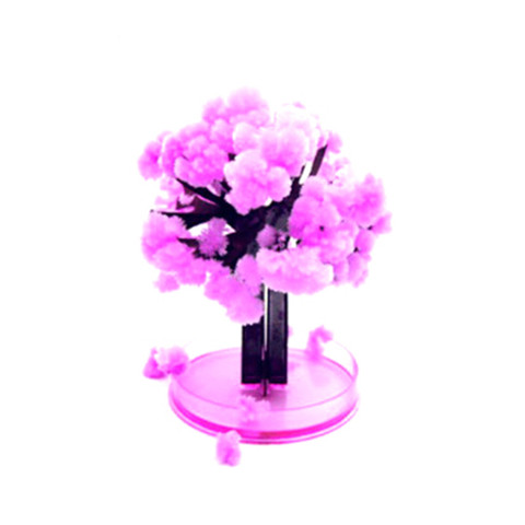 Árbol Sakura mágico japonés para cultivo de árboles, flores de cerezo de escritorio, color rosa, 12x8cm, Japón, hecho en Japón ► Foto 1/5