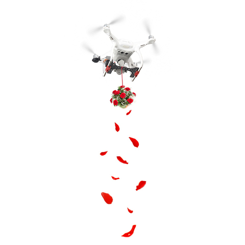 Kit de servointerruptor parabólico airdrop, control remoto para DJI phantom 4/4pro, accesorios para drone avanzado ► Foto 1/6