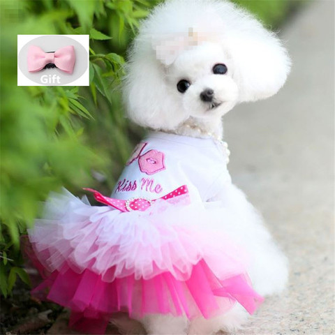 Ropa de perro para pequeño vestido para perros vestido de princesa dulce Primavera Verano cachorro pequeño perro encaje princesa Chihuahua perro Mascotas ropa ► Foto 1/6