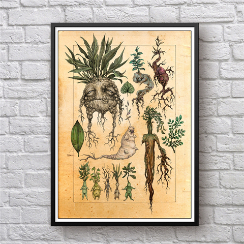 Harry Potter Fan Art ilustración Mandrake decoración pintura lienzo cuadro, lindo Mandrake planta cartel impresión decoración de la habitación de los niños ► Foto 1/6