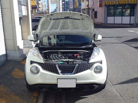 Amortiguador para 2010-2022 Nissan JUKE YF15 SUV frente capucha capó modificar resortes de elevación de Gas Shock accesorios amortiguador ► Foto 1/4