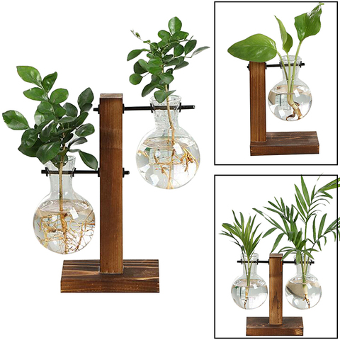 Terrario hidropónico para plantas florales, jarrones transparentes de vidrio y base de madera, para decoración de mesas y el hogar, bonsái ► Foto 1/6