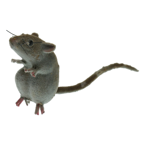 Juguete de broma con animales en miniatura, Patio exterior, imán para nevera, ratón, adorno de animales ► Foto 1/6