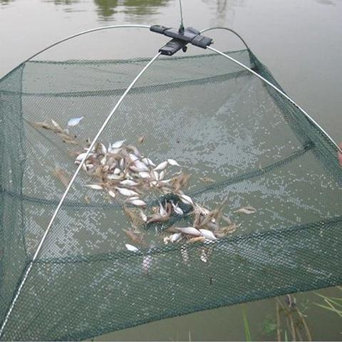 Red de pesca plegable, cebos de cangrejo Minnow, pez pequeño, trampa de malla fundida, Red de elevación, captura de peces, atrapa cangrejos, 60cm ► Foto 1/6