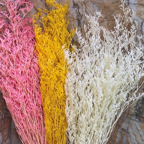 Césped Natural para San Valentín, flores preservadas de 40-50CM, hierba de amor Natural auténtica, flor de baile para decoración del hogar ► Foto 1/6