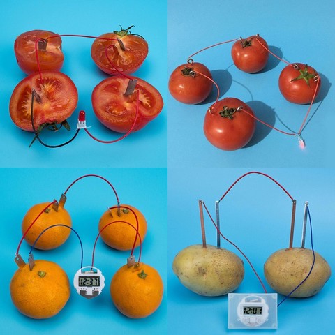 Kit de Ciencia de energía Bio para niños, alimentación de frutas y patatas, experimentos de electricidad, juguete educativo para aprender ciencias ► Foto 1/6