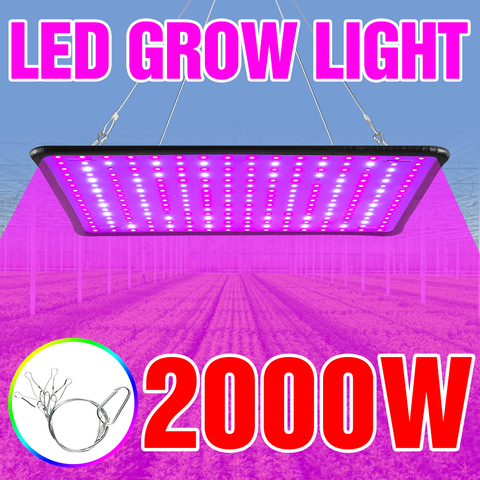 Luz LED para crecimiento de plantas, placa cuántica de espectro completo para planta de interior, 2000W, 2835 LED ► Foto 1/6