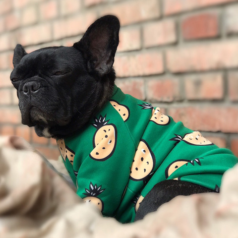 Sudadera de lana suave para cachorros de Chihuahua ropa de invierno cálida para perros ropa para mascotas pequeños Pullovers para perros yorkshire ► Foto 1/6