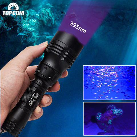 TopCom UV 395NM ultravioleta linterna púrpura luz bajo el agua 100 m UV linterna de buceo antorcha 395nm-400nm ► Foto 1/6