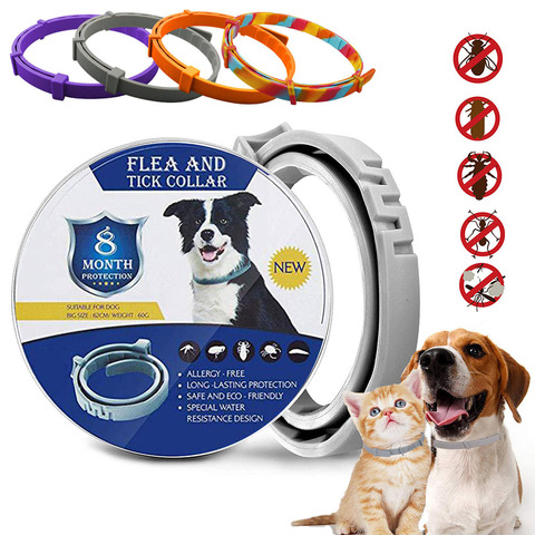 Collar antipulgas y antigarrapatas para perros y gatos, repelente de mosquitos e insectos, Collar antigarrapata de hasta 8 meses ► Foto 1/6