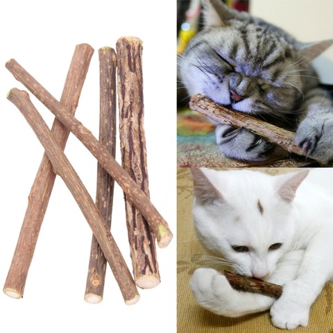 5/10/15/20 piezas Natural puro Catnip Pet gato juguete Molar pasta de dientes de limpieza de los dientes Silvervine gato aperitivos palos, suministros para mascotas ► Foto 1/6