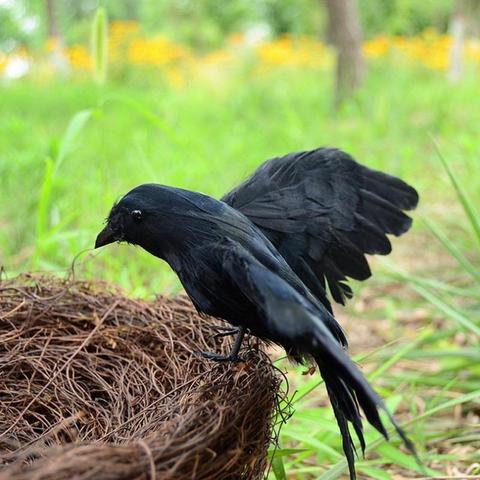 Ave artificial caza realista PE negro jardín Cuervo de caza señuelo de jardín pájaro disuadir asustador espantapájaros plagas de disuasión repelente de caza ► Foto 1/6