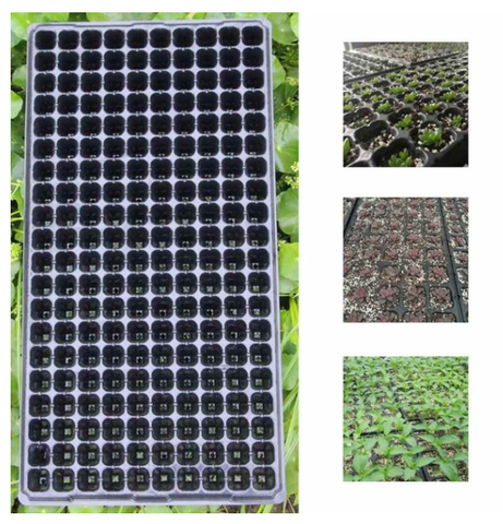 Bandeja para plantas de semillero con varios compartimentos para principiantes, germinación de semillas, propagación de plantas, 200 ► Foto 1/6