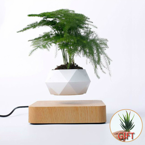 Maceta de aire levitante para bonsái suspensión magnética, maceta flotante para plantas en maceta, decoración de escritorio, gran oferta ► Foto 1/6