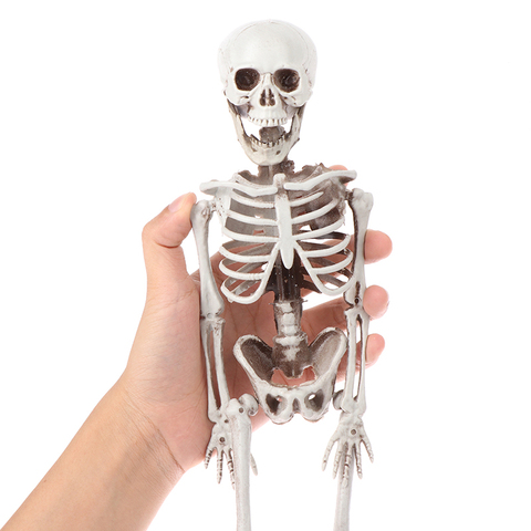 Esqueleto humano activo para fiesta de Halloween, esqueleto de anatomía, esqueleto de modelo médico, aprendizaje, decoración, boceto de arte ► Foto 1/6