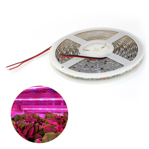 Luz LED de cultivo de espectro completo, 60LED/m, resistente al agua IP65, 5050, lámpara de crecimiento de flores para planta hidropónica para interiores ► Foto 1/6