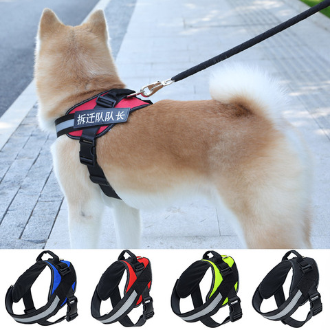 HOOPET, Collar de arnés de perro de servicio pesado de nailon, Extra grande ajustable, grandes, medianos, pequeños, arneses para chaleco, suministros para perros ► Foto 1/5