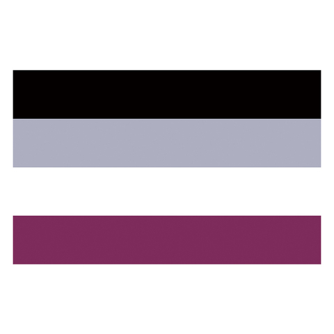 Envío Gratis xvggdg banderas de arco iris de 90x150cm LGBTQIA Ace comunidad nonsexuality La asexualidad asexual Bandera de orgullo ► Foto 1/4