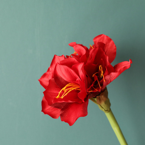 Flores de imitación barbadolly para decoración del hogar, decoración de boda, Boquete, Amaryllis, pared de flores artificiales ► Foto 1/6