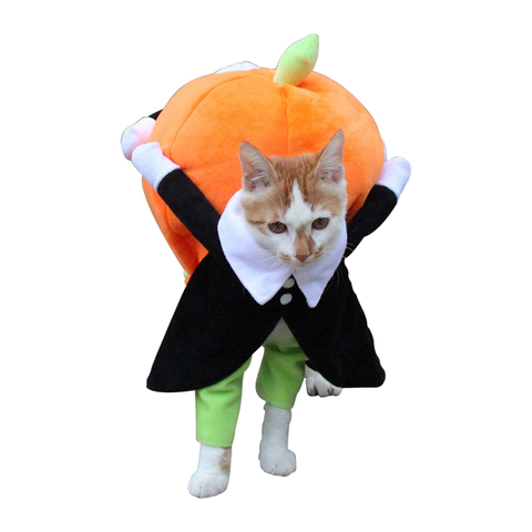 Ropa para perros, disfraz divertido de calabaza para mascota de Halloween, disfraz para mascotas, atuendo especial para eventos, atuendo bonito para perros ► Foto 1/6