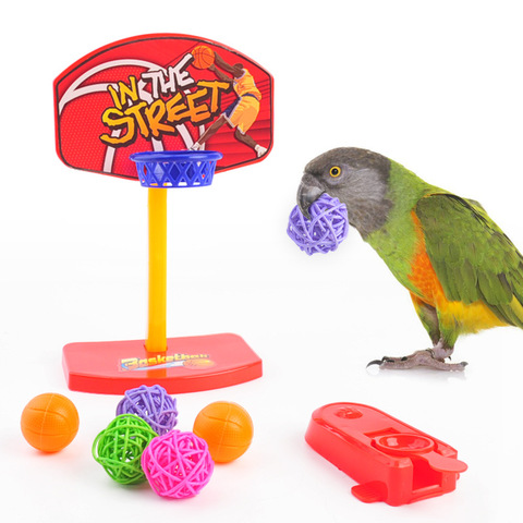 Puzzel-Mini aro de baloncesto para aves, juguetes interactivos para loros, herramientas de plástico para pájaros, accesorios de entrenamiento, suministros pequeños para mascotas ► Foto 1/6