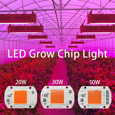 Chip LED COB para cultivo de plantas de semillero, lámpara Phyto de 110V, 220V, 50W, 30W, 20W, espectro completo, no necesita controlador para crecimiento de flores, 10 Uds. ► Foto 1/6