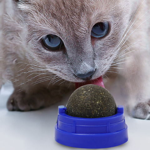 Hierba gatera-juguetes naturales para gatos, Gato loco y saludable, productos de limpieza de dientes para mascotas ► Foto 1/6
