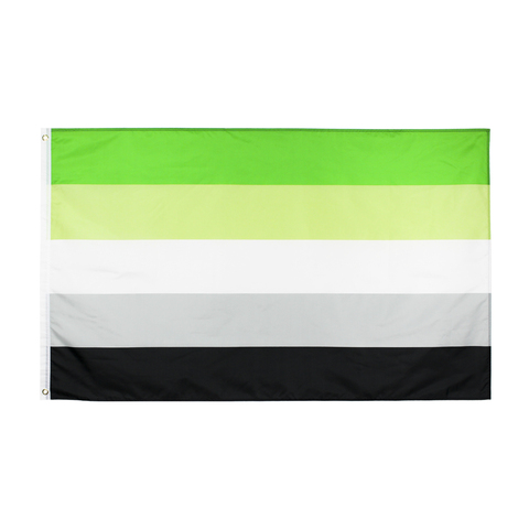 Johnin-Bandera de orgullo aromático, 90x150cm, LGBTQIA, orientación romántica ► Foto 1/6
