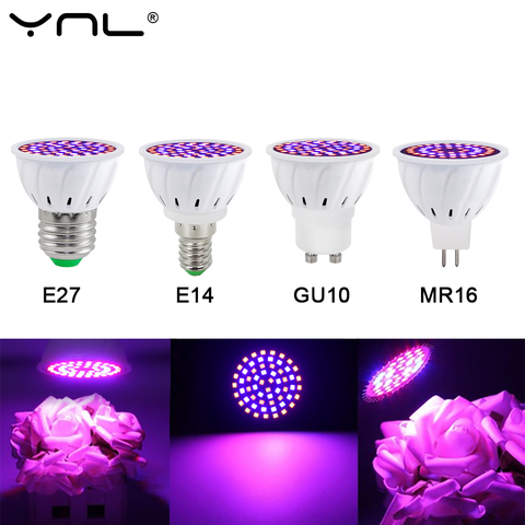 Bombilla Led de cultivo E27 E14 MR16 GU10 220V, espectro completo, luz de crecimiento hidropónico para plantas, iluminación interior, plántulas de flores ► Foto 1/6