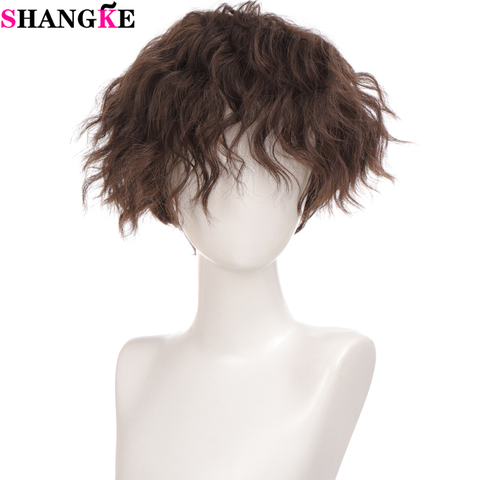 SHANGKE-pelucas de pelo sintético rizado corto para hombres y niños, disfraz de fiesta de Cosplay, pelo falso resistente al calor, color negro Natural ► Foto 1/6