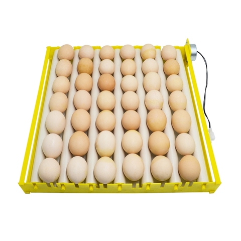 Bandeja rotativa automática de 360 grados para incubadora de huevos, herramienta de incubación de aves de corral ► Foto 1/6