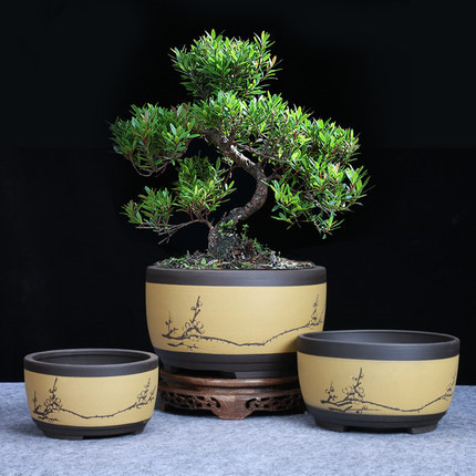 Bonsai maceta cerámica redondo mediano grande y Bonsai pequeño olla verde planta de tambor en forma de estilo chino de ventilación de la cuenca ► Foto 1/5