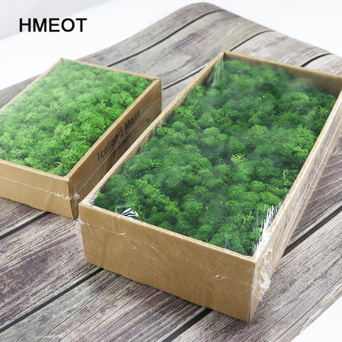 Plantas de simulación de vida eterna, musgo/jardín, decoración de pared para el hogar, Material de flores, Mini paisaje de jardín, regalo de musgo falso, 1000g ► Foto 1/6