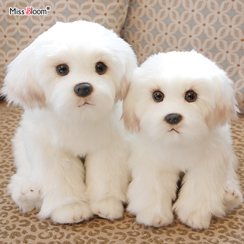 Bichon Frise-peluche de juguete de perro para niños, muñeco de peluche de imitación, suave ► Foto 1/6