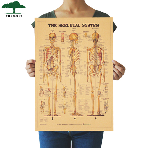 DLKKLB el esqueleto de la estructura del cuerpo del sistema nervioso Vintage Poster Hogar, dormitorio decoración de la habitación de pintura 51,5x35,5 cm etiqueta de la pared ► Foto 1/6
