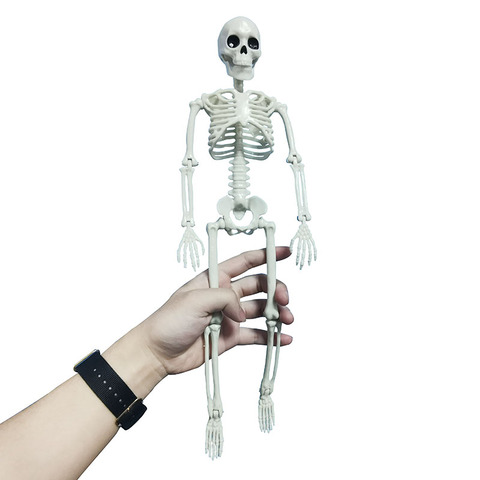 Skeleto-modelo humano activo, esqueleto de anatomía, esqueleto de modelo médico, aprendizaje, decoración para fiesta de Halloween, boceto de arte, 1 Uds. ► Foto 1/6