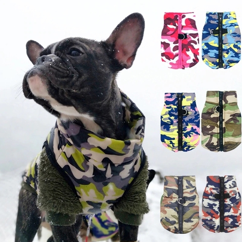 Ropa impermeable para mascotas abrigo para perros pequeños, chaqueta, ropa para cachorros, traje de chaleco, ropa de abrigo para Chihuahua ► Foto 1/6