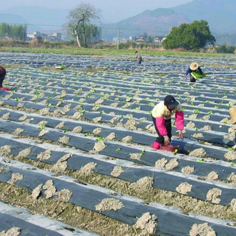 10m 0.008mm película de mantillo PE negro blanco plástico mantillo jardín cubierta de tierra película de protección contra heladas mantener el Control de malezas calientes ► Foto 1/6