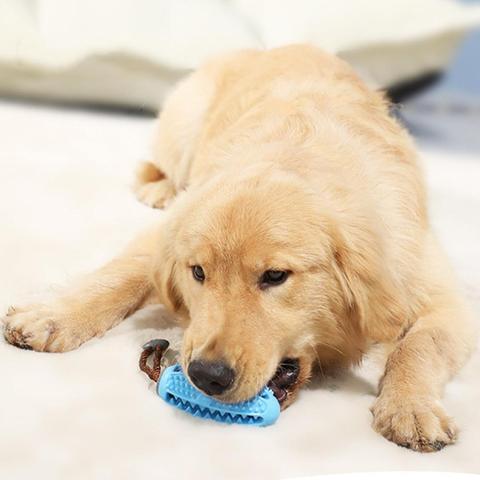 Juguetes para perros Natural interactivo juguete bola de goma divertida interactiva elasticidad limpia los dientes jugando Moral bolas juguetes masticables para perros ► Foto 1/6