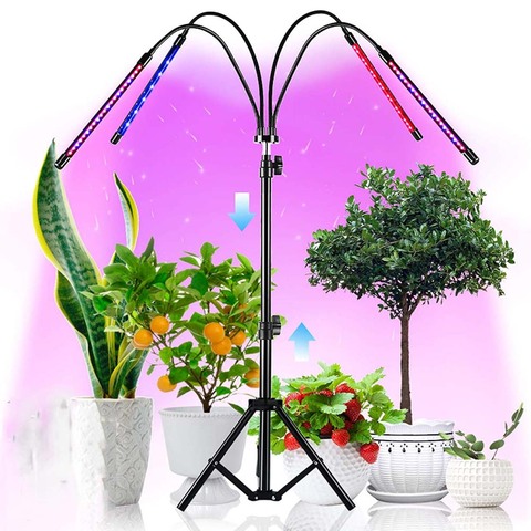 Phyto-lámpara con temporizador de espectro completo, luz de cultivo USB para plantas, luces espaciadoras completas para Jardín de plantas, flores, hierbas, protector de cultivo ► Foto 1/6