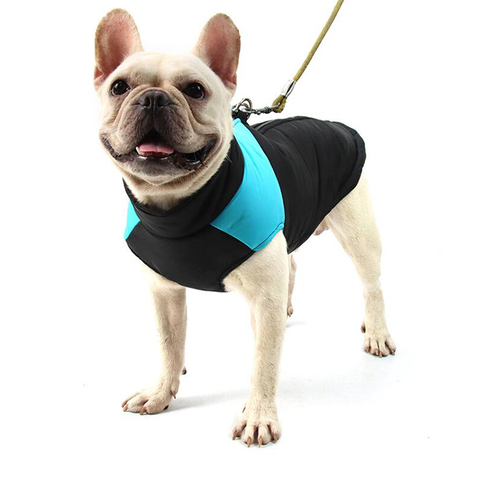 Ropas impermeables para perro para perros pequeños de invierno cálido abrigo para perros ropa de perro grande cachorro Pug chaleco Bulldog francés chaqueta para Chihuahua ► Foto 1/6