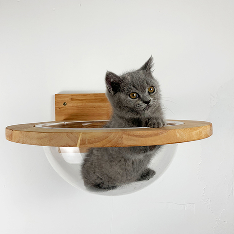 Muebles para mascotas Casa de pared para gatos, cápsula espacial transparente montada en la pared, árbol para gatos, marco de madera para escalar, cama para gatito, trampolín ► Foto 1/5