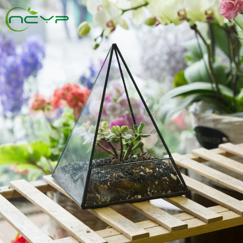 Moderna mesa geométrica terrario ventana alféizar caja suculenta maceta pirámide plantas contenedor maceta bonsái maceta de flores ► Foto 1/1