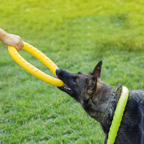 Discos voladores para mascotas, extractor de anillo de formación de perros EVA, juguete flotante resistente a mordeduras, productos para juego interactivo al aire libre para cachorros ► Foto 1/6