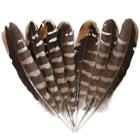 Plumas de águila naturales para manualidades, Plumas de faisán de 15-20CM, 6-8 