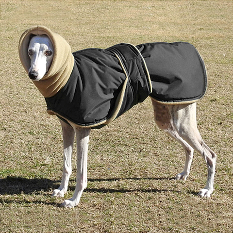 Ropa cálida de invierno para perros medianos y grandes, chaqueta para perro impermeable, abrigo grueso de ropa para perros, Galgo, Wolfhound y pastor ► Foto 1/6