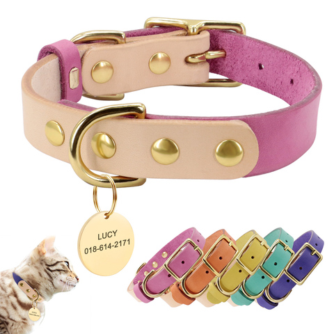 Collares de Perro personalizados de cuero, Collar de Perro, etiquetas de identificación de nombre para perros pequeños medianos grandes Pitbull bulldog Beagle Correa Perro ► Foto 1/6